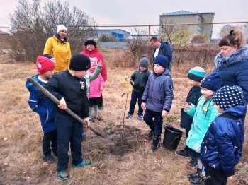 Пополнение в молодом  школьном саду